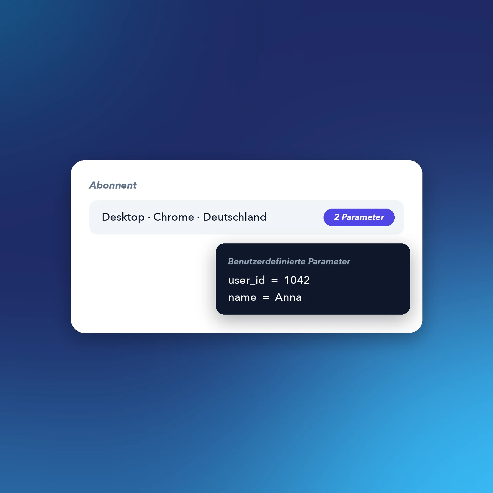 Screenshot der Funktion zur Verfolgung benutzerdefinierter Parameter von App-Abonnenten